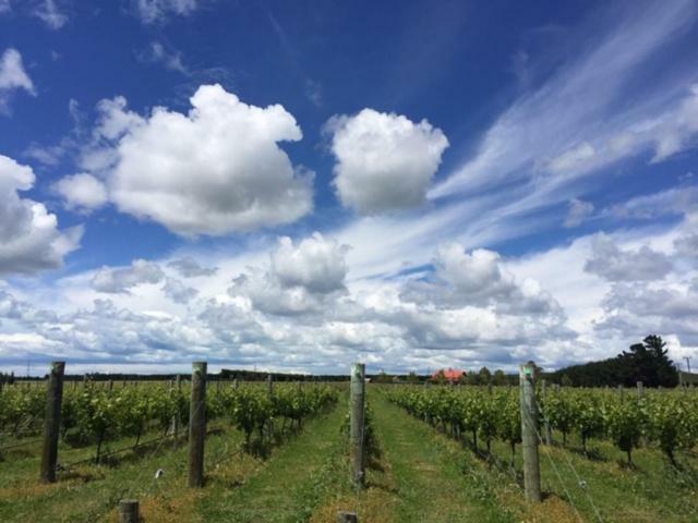 Romantic Vineyard Getaway Waipara Bagian luar foto