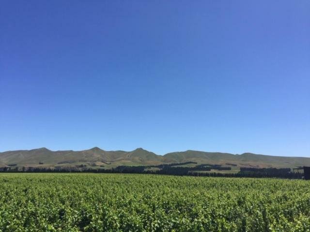 Romantic Vineyard Getaway Waipara Bagian luar foto